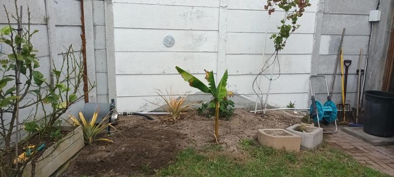 3 Bedroom Property for Sale in Pelikan Park Western Cape